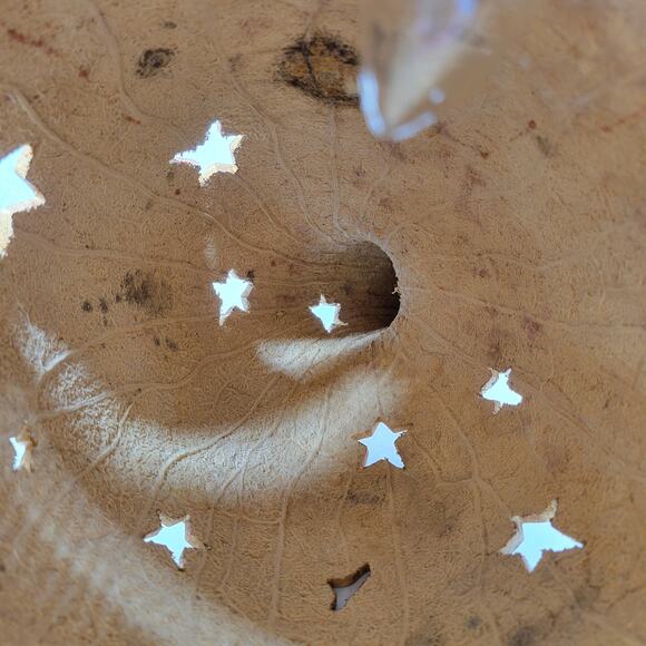 Hand Painted Lighted Santa Gourd Large 17” Holiday Christmas Folk Art Primitive - Picture 12 of 16